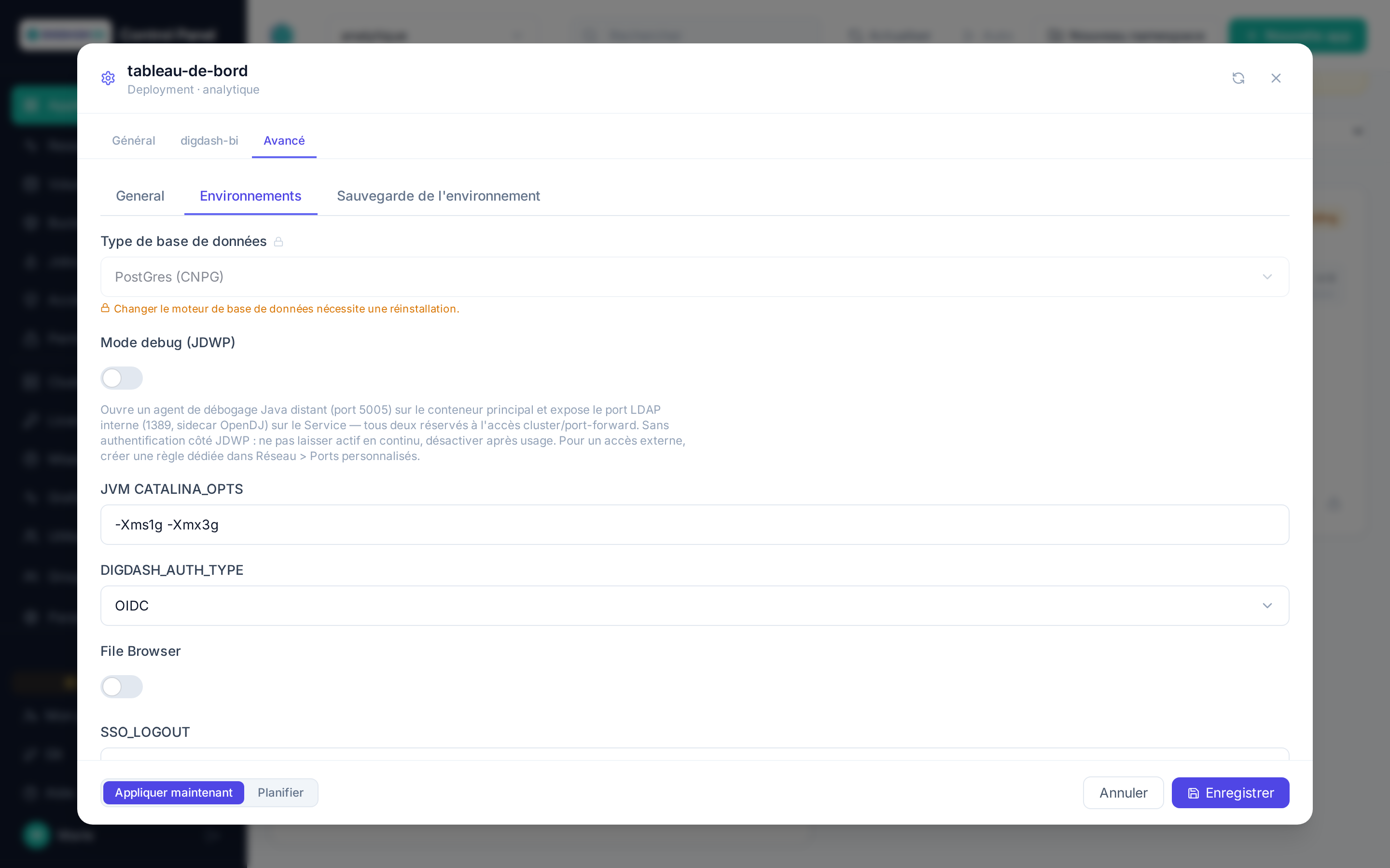 Onglet Environnements de la configuration avancée d'une application Digdash BI