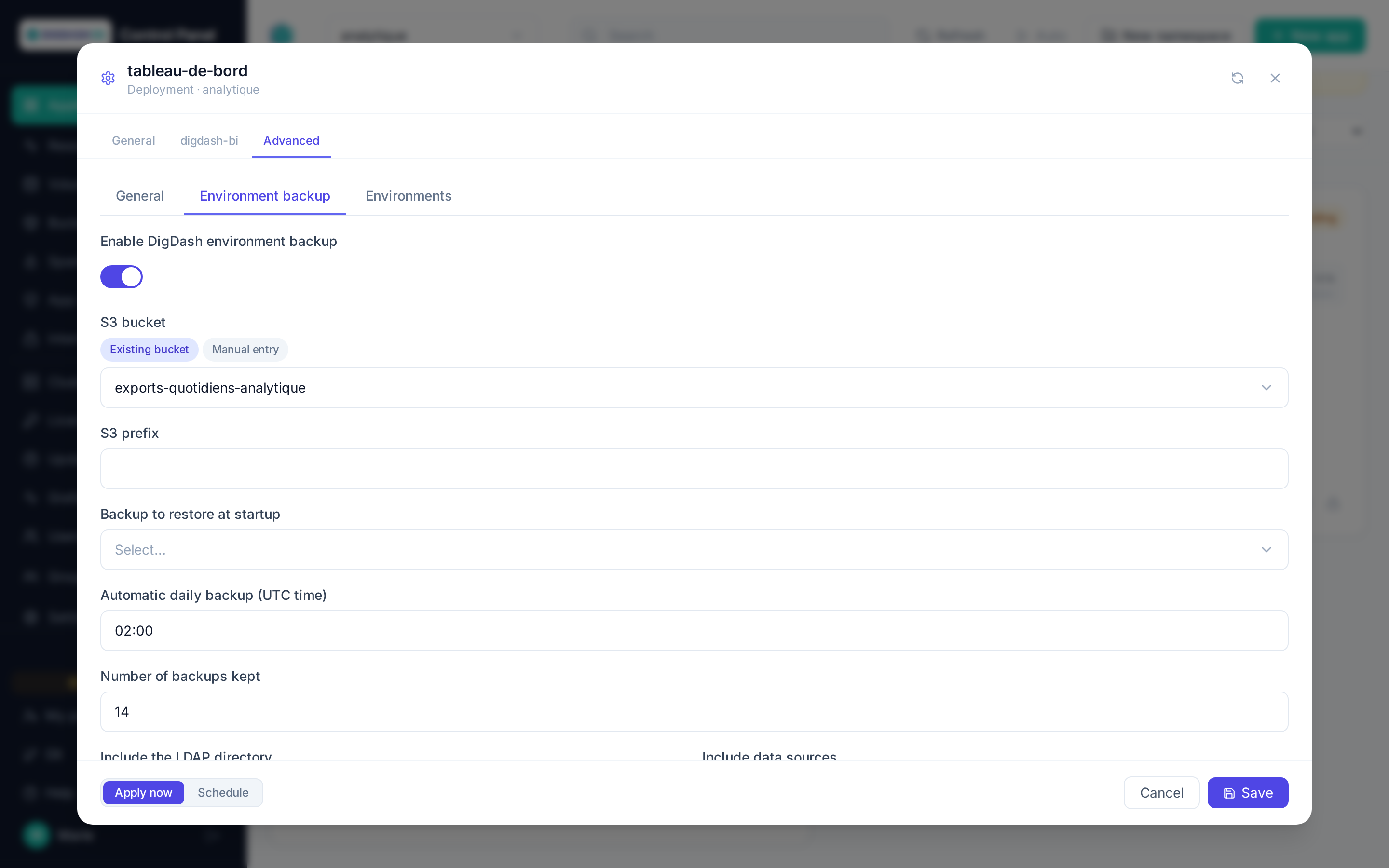 Environment backup category of a Digdash BI application's advanced configuration