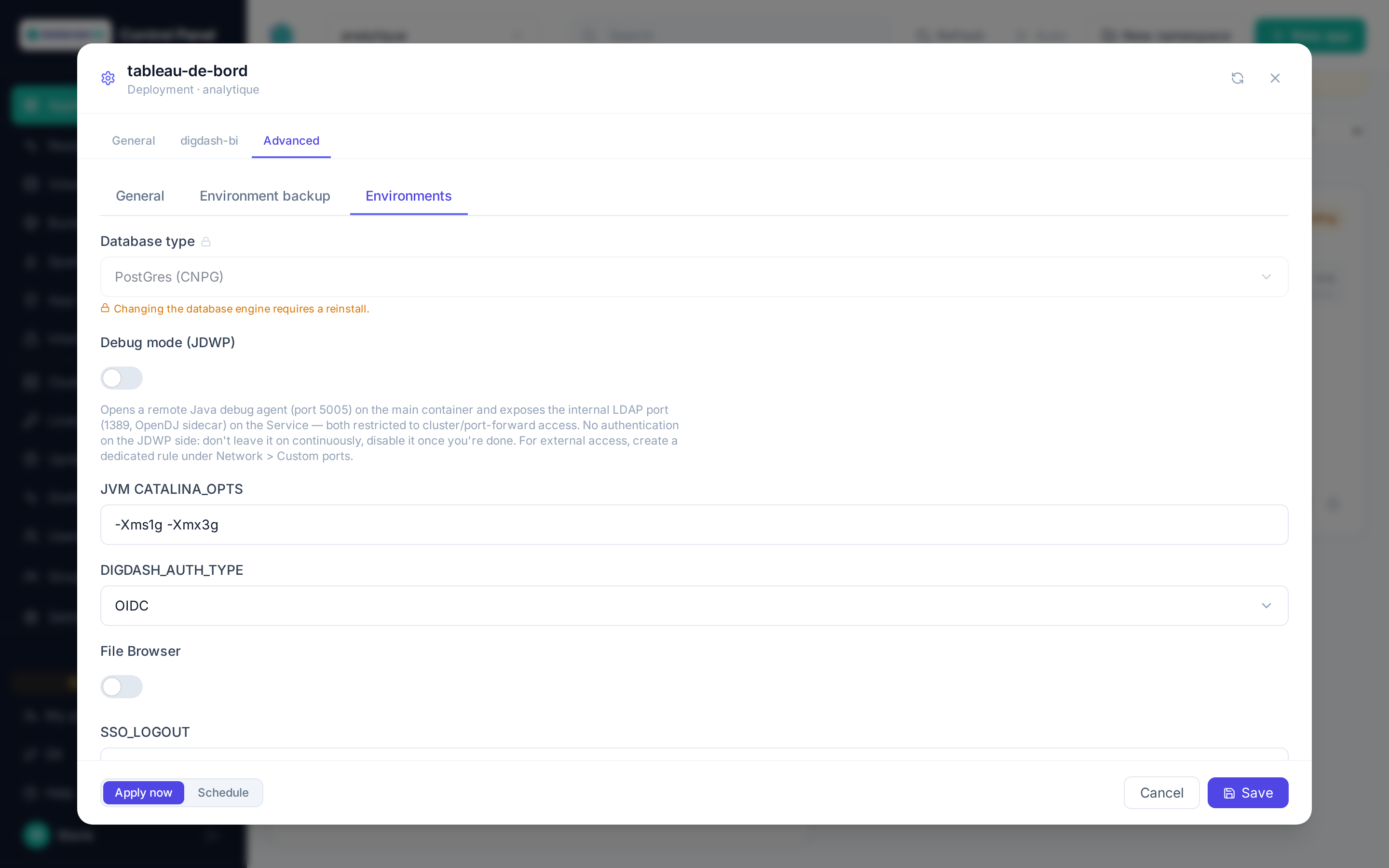 Environments tab of a Digdash BI application's advanced configuration